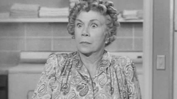 The Beverly Hillbillies - Jed's Dilemma