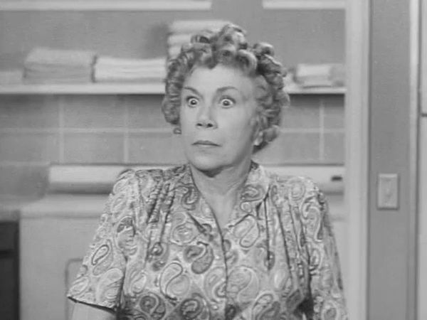 The Beverly Hillbillies - Jed's Dilemma
