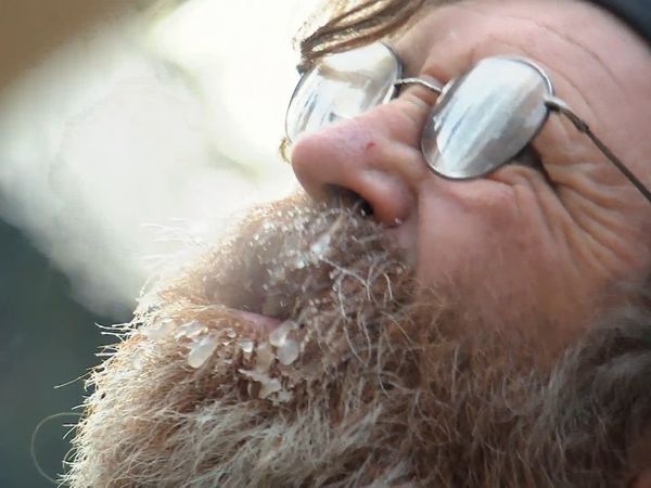 Mountain Men - Best Laid Plans