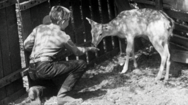 The Adventures of Champion Series - The Deer Hunters