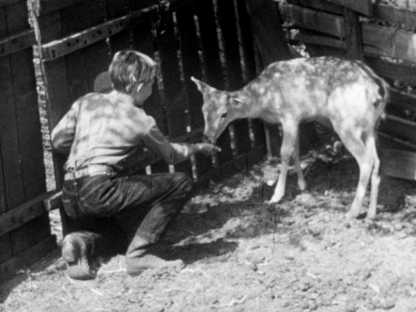 The Adventures of Champion Series - The Deer Hunters