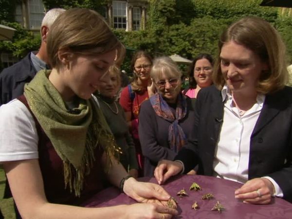 Antiques Roadshow UK - Oxford