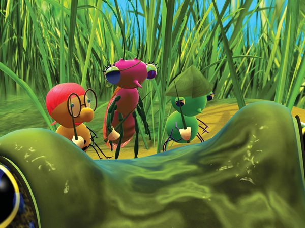 Miss Spider's Sunny Patch Friends - Secret Frog