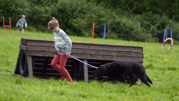 Dog School - Episode 2