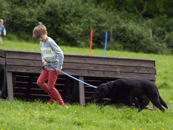 Dog School - Episode 2