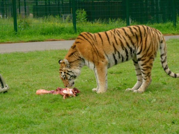 Animal Park - Episode 7
