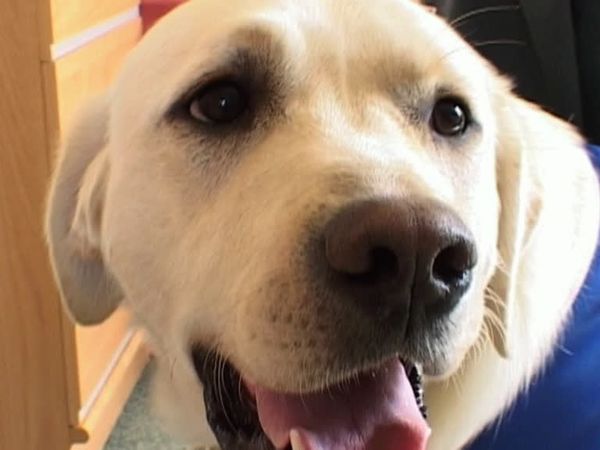 Talking to Animals - Episode 6