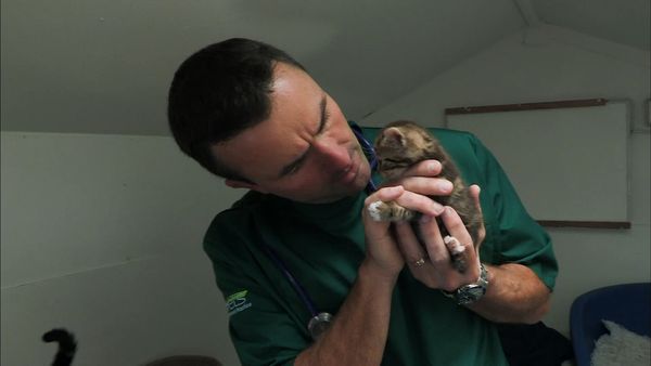 It's a Vet's Life - Episode 7