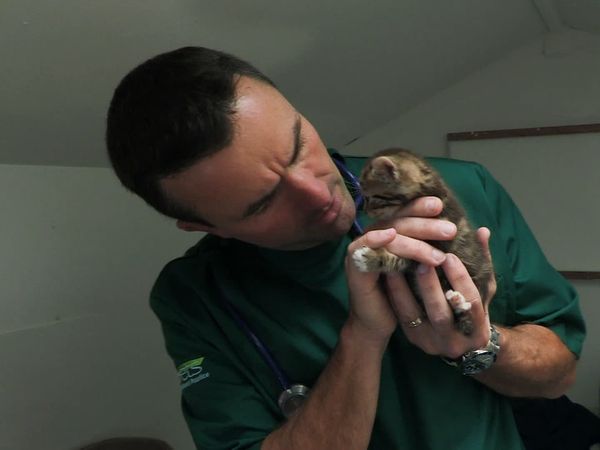 It's a Vet's Life - Episode 7