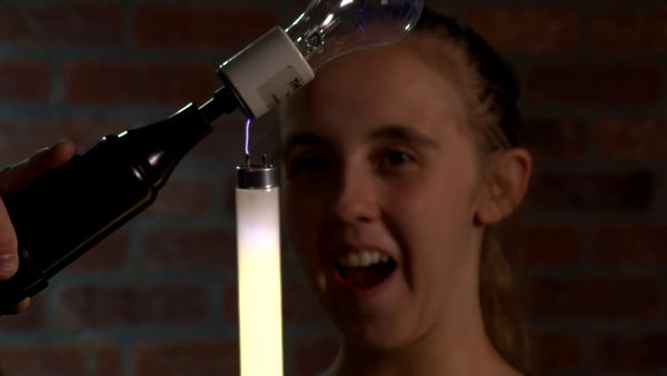 DIY Sci - Electricity