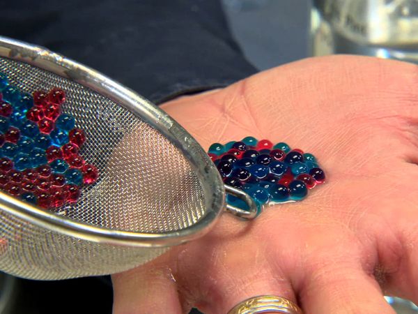 DIY Sci - Food Science