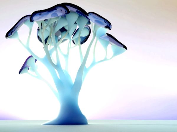Xploration Earth 2050 - Trees Change The Future