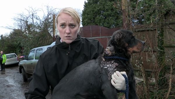The Dog Rescuers - Episode 13