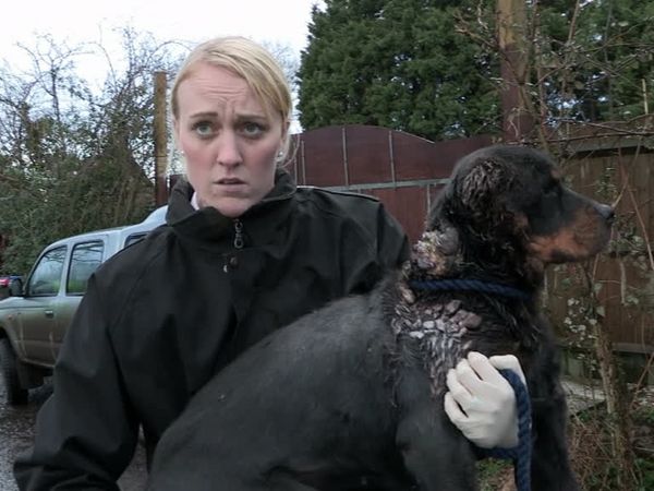 The Dog Rescuers - Episode 13