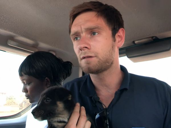 The Dog Rescuers - Episode 12