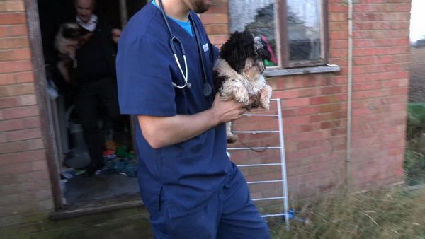 The Dog Rescuers - Episode 2