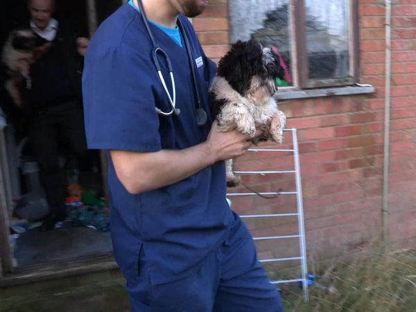 The Dog Rescuers - Episode 2