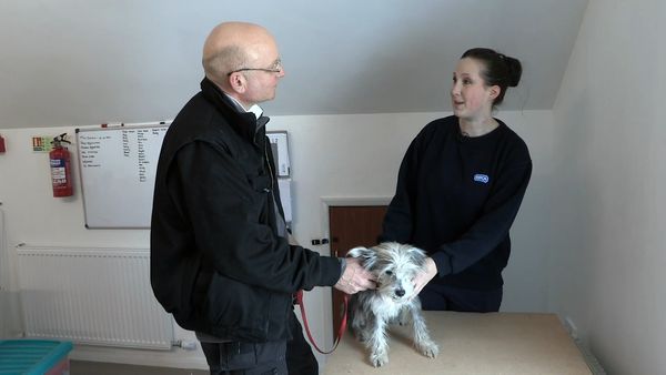 The Dog Rescuers - Episode 3