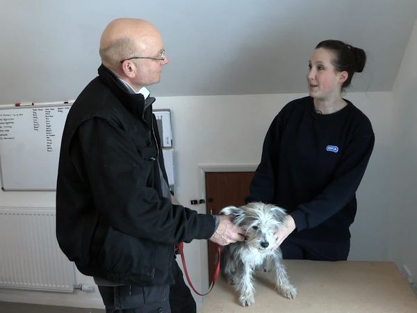The Dog Rescuers - Episode 3