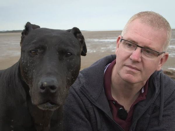 The Dog Rescuers - Episode 4