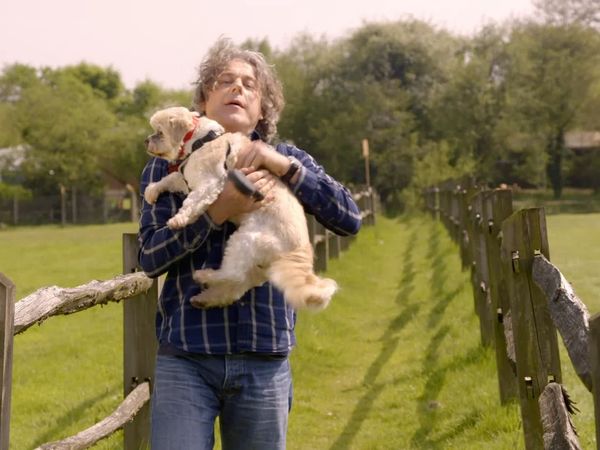 The Dog Rescuers - Episode 2