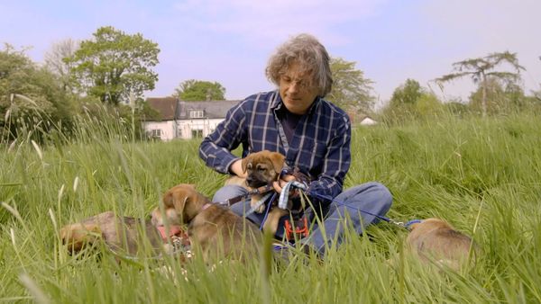 The Dog Rescuers - Episode 3