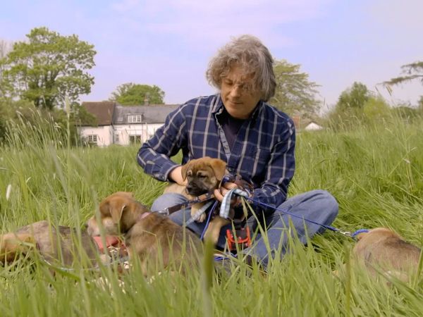 The Dog Rescuers - Episode 3