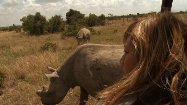 Anna's Wild Life - Rhino! Part One
