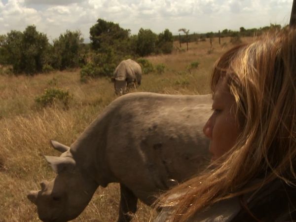 Anna's Wild Life - Rhino! Part One