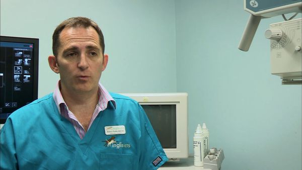 It's a Vet's Life - Episode 6