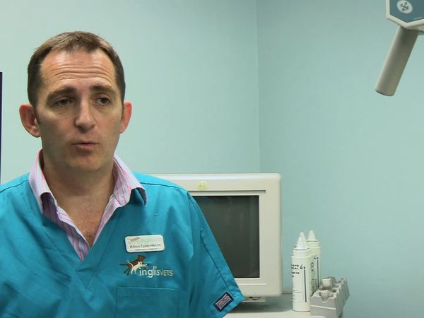 It's a Vet's Life - Episode 6