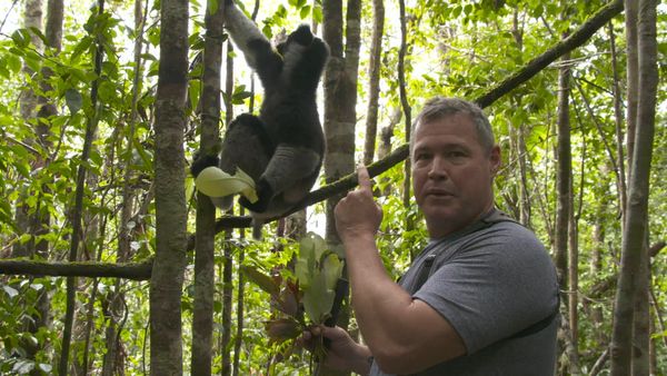 Ocean Treks With Jeff Corwin - Marvelous Madagascar