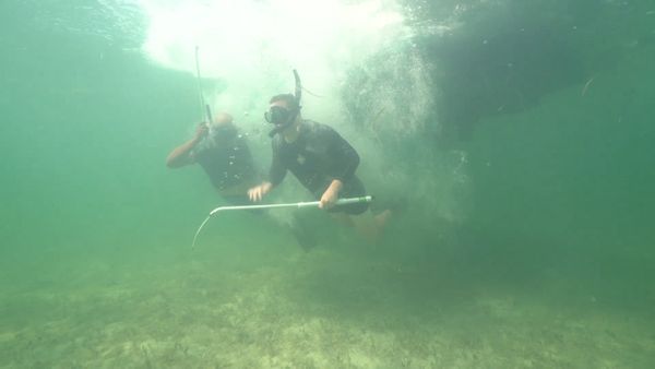 Ocean Treks With Jeff Corwin - Grand Adventures