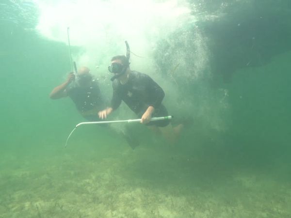 Ocean Treks With Jeff Corwin - Grand Adventures