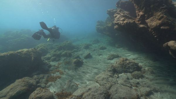 Ocean Treks With Jeff Corwin - Terrific Tenerife