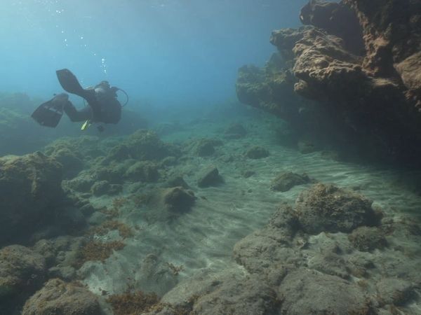 Ocean Treks With Jeff Corwin - Terrific Tenerife