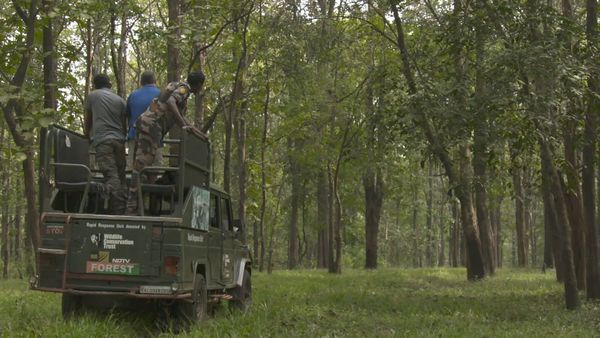 Ocean Treks With Jeff Corwin - Tigers, Spice, and All Things Nice