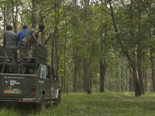 Ocean Treks With Jeff Corwin - Tigers, Spice, and All Things Nice