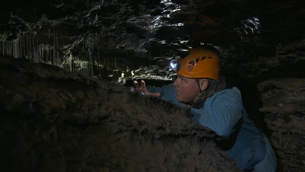 Ocean Treks With Jeff Corwin - Wonder Down Under