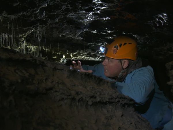 Ocean Treks With Jeff Corwin - Wonder Down Under