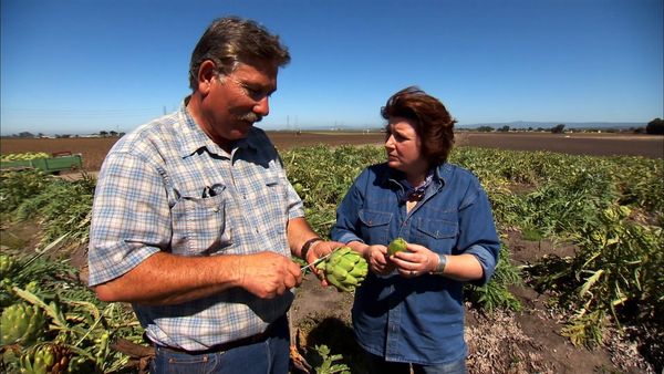 Pitchin' In - Artichokes