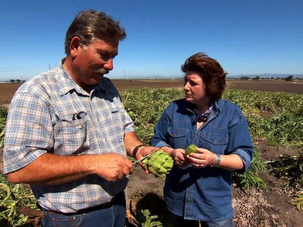 Pitchin' In - Artichokes