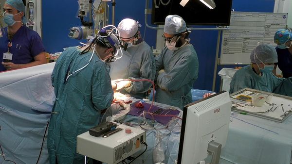 Surgeons: At the Edge of Life - A New Beginning?