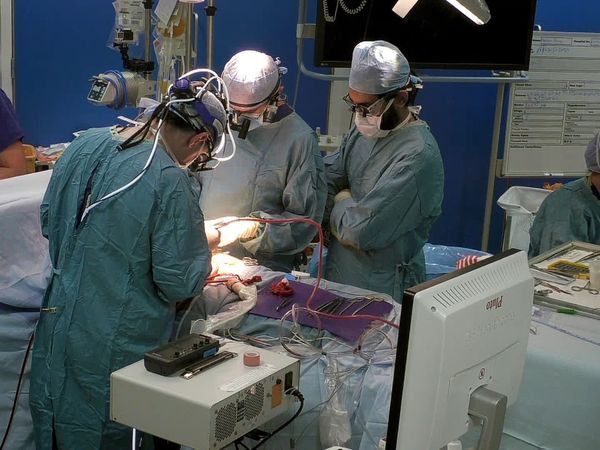 Surgeons: At the Edge of Life - A New Beginning?