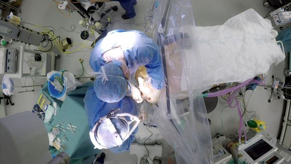 Surgeons: At the Edge of Life - One False Move