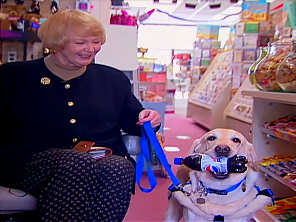 Animal Science - Dogs