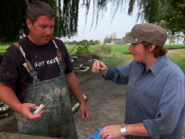 Pitchin' In - Oysters