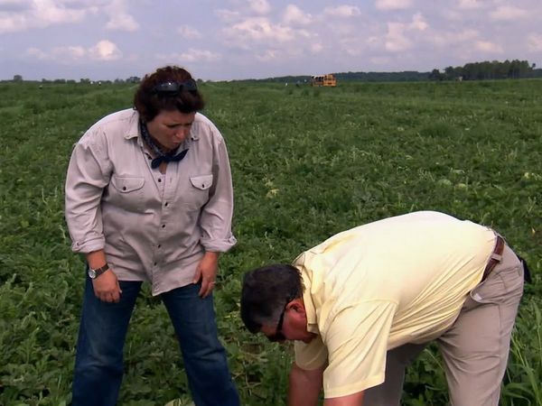 Pitchin' In - Watermelon