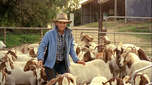 McLeod's Daughters - Winners And Losers