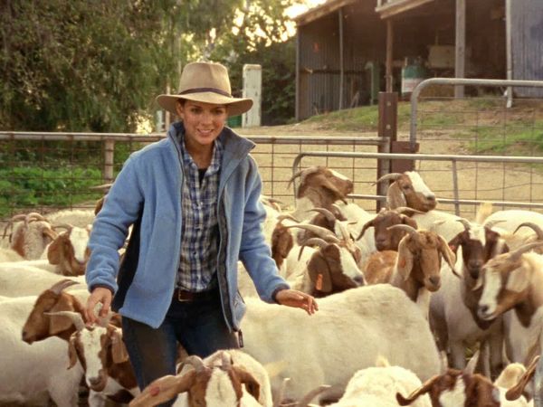 McLeod's Daughters - Winners And Losers